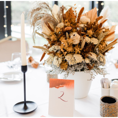 Terracotta Csomagajánlat