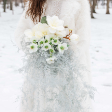 Whispers of Snow