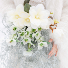 Whispers of Snow