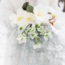 Whispers of Snow
