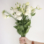 Lisianthus
