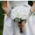White Peony Greenery