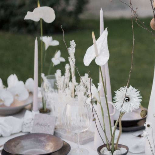 Anthurium:Flamingóvirág