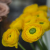Ranunculus