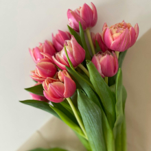 Tulipán csokor