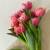 Tulipán csokor