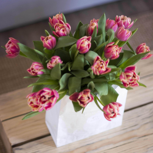 Tulipán csokor