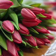 Tulipán csokor