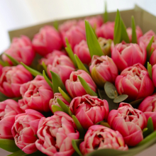 Tulipán csokor